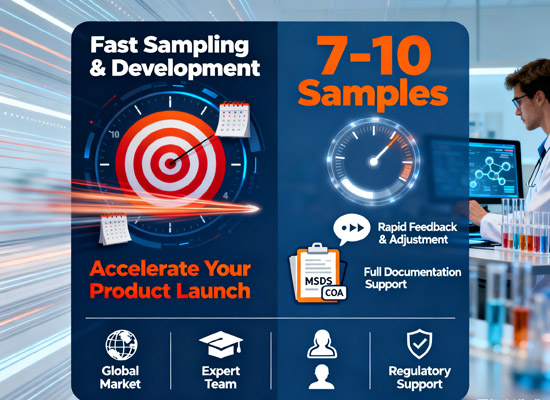 Fast Sampling & Development-ICON